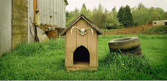 外媒称任天堂Switch 2或将于2025年3月28日发售